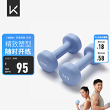 Keep 彩色浸塑哑铃 男女家用家庭健身肌肉塑形手臂轻重量紫灰色 3kg*2