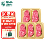 茶牛澳洲和牛M9+谷饲原切雪花牛排1kg 生鲜牛肉火锅烤肉 源头直发