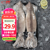 初鲜鲜冻大鱿鱼净重1.2-1.3斤 铁板鱿鱼 火锅烧烤食材 海鲜送礼软足类
