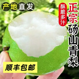 《顺丰包邮》正宗砀山青皮翠冠黄冠梨整箱新鲜水果江浙沪皖明日达 九斤大果整箱包装 人工现摘现发精挑细选