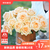 京东鲜花蜜桃雪山玫瑰花10枝山东基地香槟玫瑰成人礼枝长50-55cm源头直发