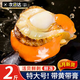 尚致扇贝肉特大号新鲜冷冻扇贝带黄带膏可做蒜蓉粉丝扇贝生鲜红贝 【2斤】扇贝肉500g*2袋