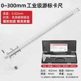 德力西电气（DELIXI ELECTRIC）游标卡尺高精度量具机械式内外径深度量具油标表家用千分尺300