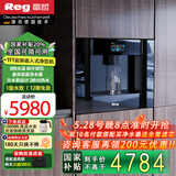 雷哲（Reg） V200嵌入式直饮机家用即热式饮水机自来水加热直饮一体机净饮机RO反渗透0阻垢净水器 V200嵌入式饮水机-冰水款