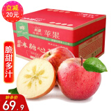 源外 正宗新疆大漠冰糖心苹果 净重8.5斤新鲜水果脆甜红富士丑苹果 优选大果（80-85mm）