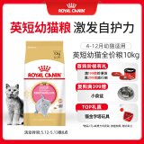 皇家猫粮 英短幼猫粮 BSK38 4-12月 10KG