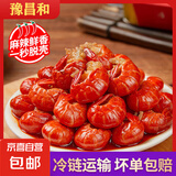 麻辣小龙虾尾冷冻非鲜活生鲜新鲜香辣虾球熟食特盒装熟大新密特产 【麻辣+蒜蓉】3+3盒装龙虾尾