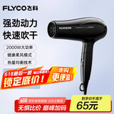 飞科（FLYCO）电吹风机家用便携冷热风护发速干吹风筒2000w大功率FH6231