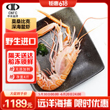中水远洋进口鳌虾鲜活捕捞无冰净重4斤活冻莫桑比克精品海鲜礼盒水产刺身