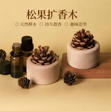 森卡龙松果扩香木家用卧室扩香器风油精花露水无火香薰桌面摆件车载精油 扩香木2个【榉木款】 【可滴花露水/香水】
