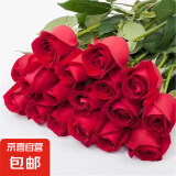 艾莎梦露玫瑰花苗切花月季绿植物四季开花朱丽叶蓝色风暴大花盆栽 卡罗拉中苗（花期带花苞）40-60cm高 不含盆