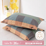 艾薇 老粗布枕套夏季凉席枕头套枕套一对装 塞纳风情 48*74cm