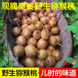 2026秦岭山绿心猕猴桃新鲜现摘5斤孕妇水果奇异果纯野生猕猴桃甜 5斤精选纯野生果【40-70g】
