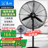 长城（CHANGCHENG）工业风扇电风扇工厂车间大风力落地扇强力超大工业扇商用牛角扇大功率交流定频工业电风扇FL-65