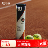 Wilson威尔胜全场地专业用球 法网联名款 Roland Garros   WRT126400