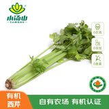 小汤山 北京 有机西芹 700g 基地直供新鲜蔬菜