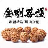 山中玉金刚菩提手串尼泊尔菩提子原籽龙鳞纹盘文玩大五瓣精品520送礼物 五瓣爆肉18-20mm