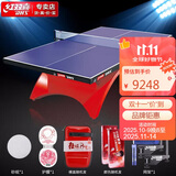 红双喜DHS 彩虹乒乓球桌室内乒乓球台比赛专业乒乓球案子TCH