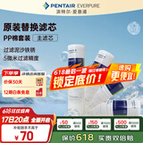 爱惠浦（Everpure）家用厨下 10寸/5微米 前置过滤各品牌通用净水器 PP棉滤芯4支装