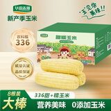 华田禾邦【大棒甜+糯8根】农科糯336 玉米3.84斤 大棒甜糯玉米 烧烤食材