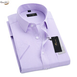 鳄鱼恤竖条纹衬衫男短袖抗皱免烫商务职业正装加肥加大码男士格子衬衣 细紫条纹 45 200/112A