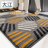 大江地垫入户门脚垫门口地毯进门玄关地垫进户门防滑60x90cm