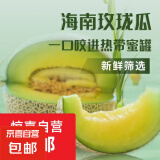 果香浓郁正宗新鲜海南玫珑蜜瓜当季新鲜水果坏果包赔玫珑蜜瓜 实惠2-3斤（1-2颗装）