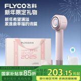 飞科（FLYCO）高速电吹风机家用负离子护发吹风筒速干便携新年礼物钻石粉FH6371配挂架