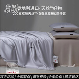 黛奴A类200支兰精天丝桑蚕丝夏被四件套柔软冰丝夏凉被可水洗空调被 慕尼银灰 夏被单件：220x240cm