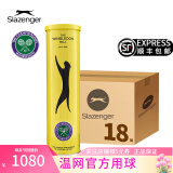 史莱辛格（Slazenger） 网球温网用球铁罐/胶罐训练比赛施莱辛格豹子球练习球专业网球 铁罐四粒装/1箱 340973