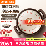 苏泊尔（SUPOR）陶瓷煲砂锅熬药煮粥焖饭炖锅养生汤锅饭煲煲耐高温明火专用 菜煲煲【3-5人多数选择】 3L