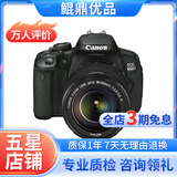 佳能/Canon 500D 600D  700D 750D 760D 800D 二手单反相机 95新 95新 佳能650D/18-135  套机 套机