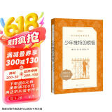 少年维特的烦恼（《语文》推荐阅读丛书 人民文学出版社）