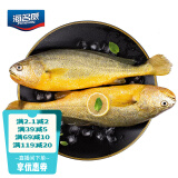海名威 冷冻黄花鱼1650g/6条装 宁德大黄鱼 生鲜鱼类 海鲜水产
