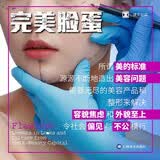 译文纪实 完美脸蛋 译文纪实 [美]伊莉斯·胡 著 单映 译