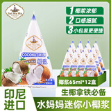 水妈妈印尼进口椰浆65ml*12包 浓缩椰汁椰奶 西米露水果捞甜品 生椰拿铁