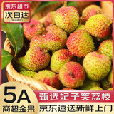 果淳乐新鲜荔枝【JD顺丰-多地次日达】 广东妃子笑大荔枝 当季水果礼盒 250g装【优选果-单果16-20g】