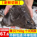 海皇湾格陵兰鲽鱼 深海鲽鱼头鸦片鱼头超大比目鱼头超大5斤装鲽鱼身海鱼 超大鲽鱼头 750g