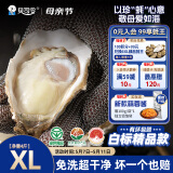 贝司令（BEISILING）【鲜活】乳山生态生蚝牡蛎贝类烧烤源头直发XL净重4斤16-22只装