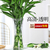 呈爱透明玻璃花瓶简约加高贵竹百合水培绿萝植物富花瓶客厅插花摆件 加高30cm六角（竹叶图案） 高30厘米