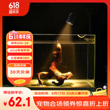 燕之雁鱼缸射灯 水陆雨林缸南美缸射灯LED水草灯 三色可调焦距7.2W