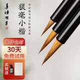 善琏湖笔狼毫小楷毛笔套装文房四宝国画书法楷书行草写意工笔蝇头小楷抄经软笔 
