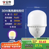 公牛（BULL）LED灯泡高亮柱形灯厂房车间商超食堂 30W球泡暖白光3000KE27螺口