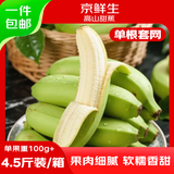 京鲜生广西高山绿皮甜香蕉 净重4.5斤 单根套网80g+ 变软即食 源头直发