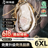 鲜海道【活鲜】鲜海道生蚝  乳山牡蛎 新鲜海蛎子生鲜贝类 送人稀有6XL号带箱5斤（5-7只）