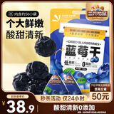 三只松鼠每日蓝莓干500g 蜜饯果干酸甜休闲零食下午茶孕妇儿童健康零食