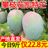 四川攀枝花凯特芒果礼盒装 新鲜一级果王当季水果特大甜芒现货 9斤装（单果400g-500g） 【一级果王】