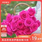 京东鲜花弗洛伊德玫瑰花10枝山东基地送女朋友礼物枝长50-55cm源头直发