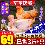 柒岛清远鸡生鲜广东土鸡整只农家散养走地鸡童子鸡特产 【2只装】净重清远鸡2-2.2斤/只