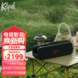 杰士（Klipsch）Detroit 音箱便携式无线蓝牙家用户外防水音响城市音乐盒系列 大号